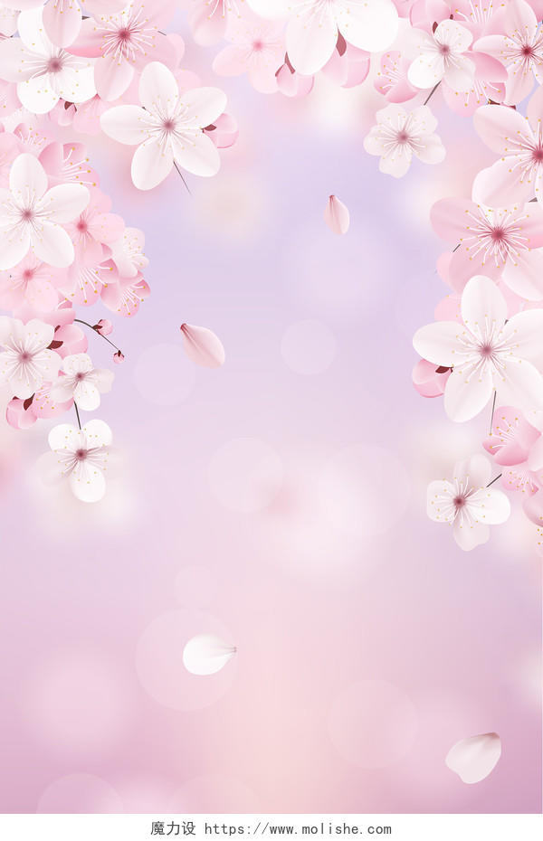 春天唯美浪漫光晕樱花花瓣缤纷春天背景素材